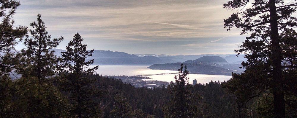 At The Beach Bed And Breakfast Kelowna Buitenkant foto
